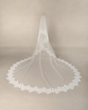 Load image into Gallery viewer, Horizon Veil