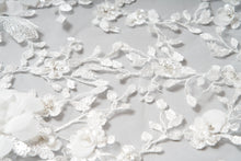 Load image into Gallery viewer, James Veil