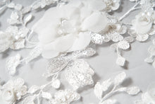 Load image into Gallery viewer, James Veil