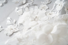 Load image into Gallery viewer, James Veil