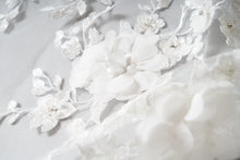 Load image into Gallery viewer, James Veil