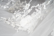 Load image into Gallery viewer, James Veil