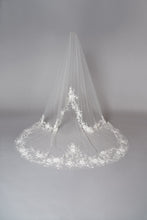 Load image into Gallery viewer, James Veil