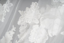 Load image into Gallery viewer, Lottie Veil