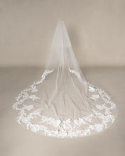 Load image into Gallery viewer, Zay Veil