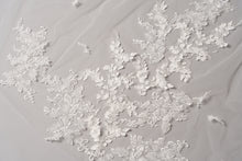 Load image into Gallery viewer, Dakota Veil