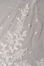 Load image into Gallery viewer, Dakota Veil