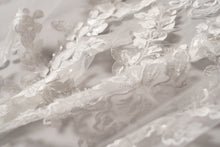 Load image into Gallery viewer, Dakota Veil