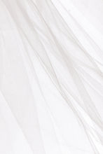 Load image into Gallery viewer, Ivy Veil