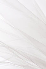 Load image into Gallery viewer, Ivy Veil