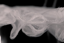 Load image into Gallery viewer, Zadye Veil - Border Only