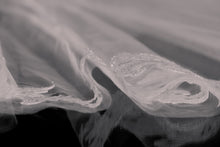 Load image into Gallery viewer, Zadye Veil - Border Only