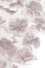 Load image into Gallery viewer, Valerie Veil