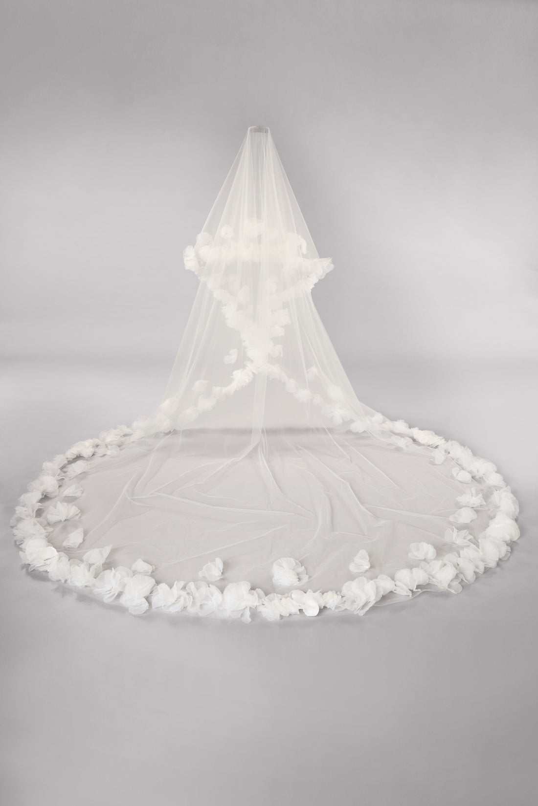 Bowie Veil