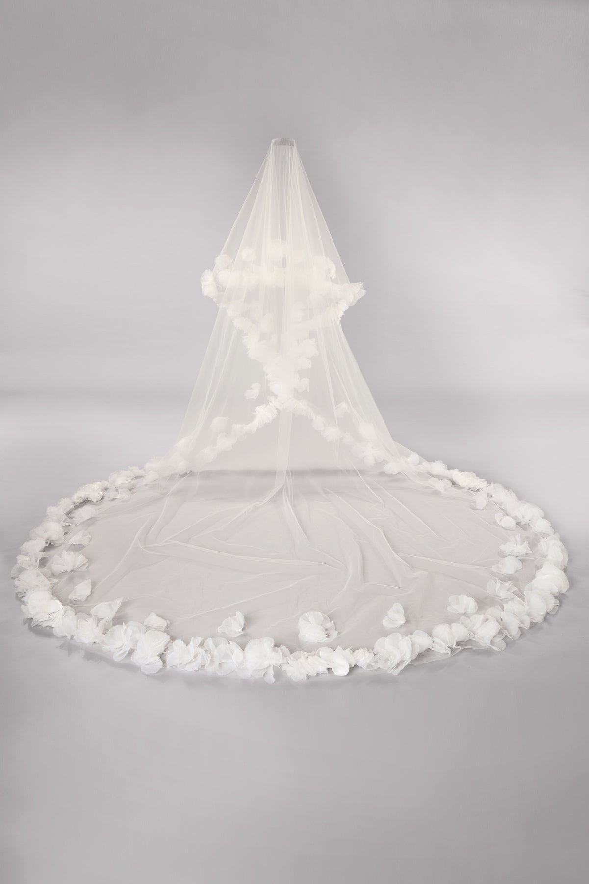 Bowie Veil