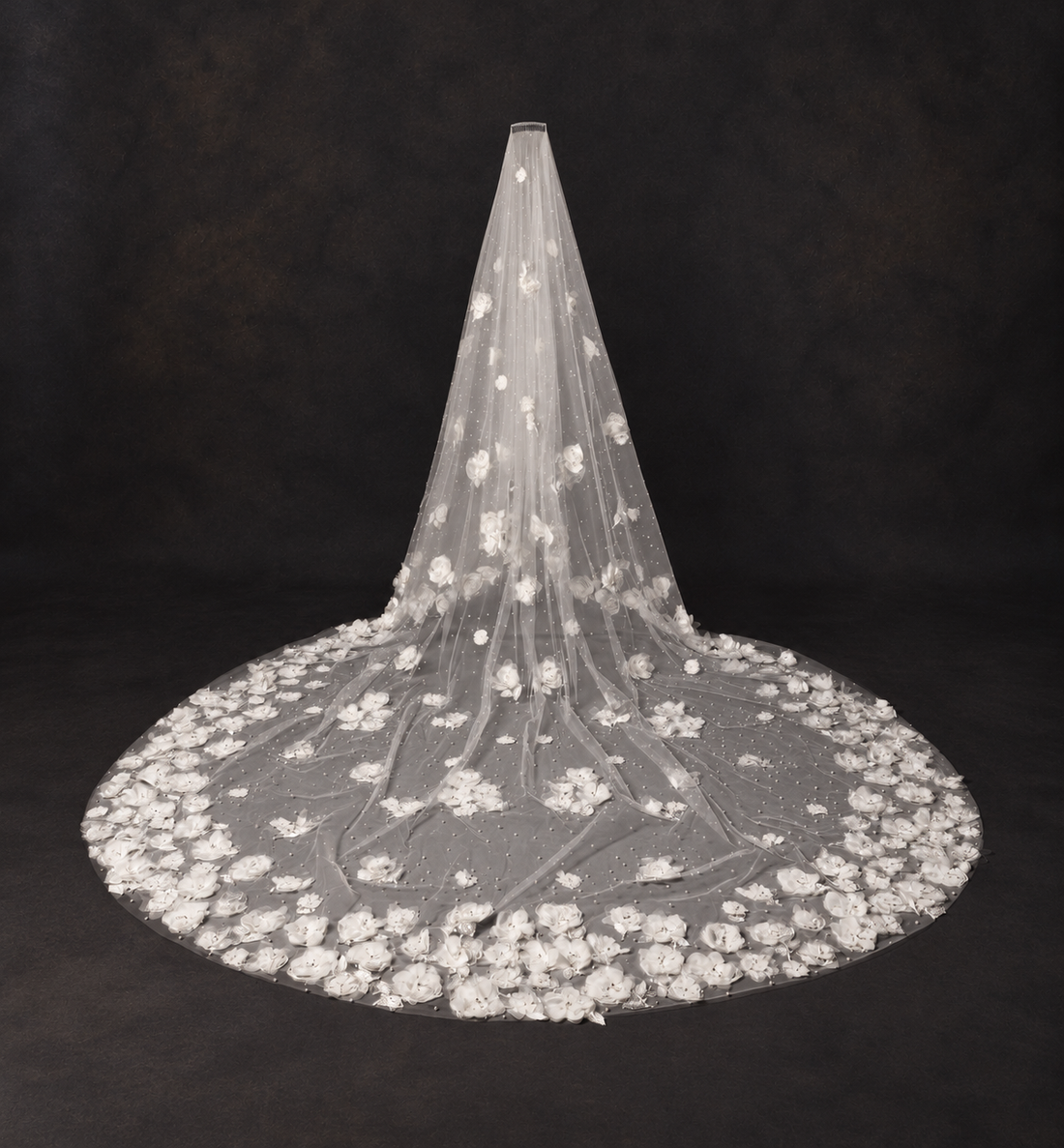 Emily Veil