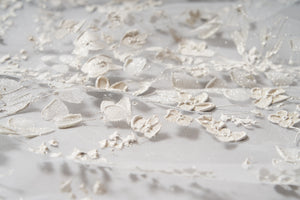 Florinda Veil