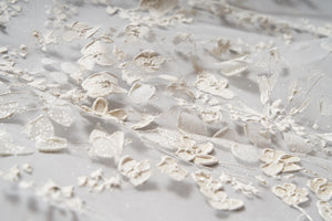 Florinda Veil