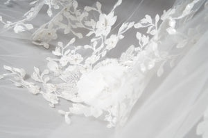 James Veil
