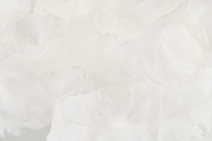 Kendal Veil