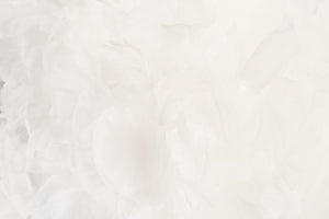 Kendal Veil