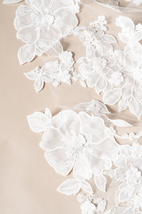Lane Veil