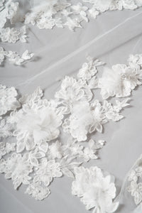 Lottie Veil