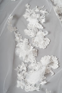 Lottie Veil