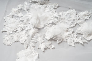 Lottie Veil