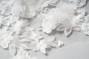 Lottie Veil