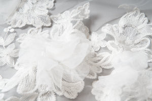 Lottie Veil
