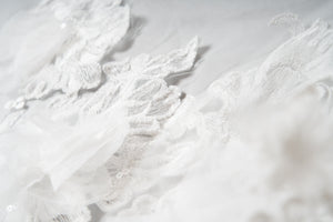 Lottie Veil