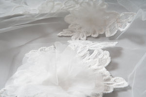 Lottie Veil