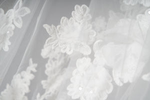 Lottie Veil