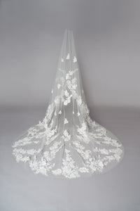 Lottie Veil