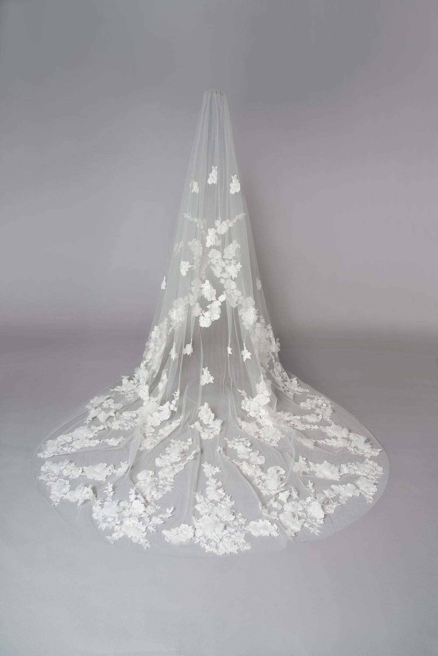 Lottie Veil