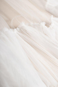 Tulipe Veil