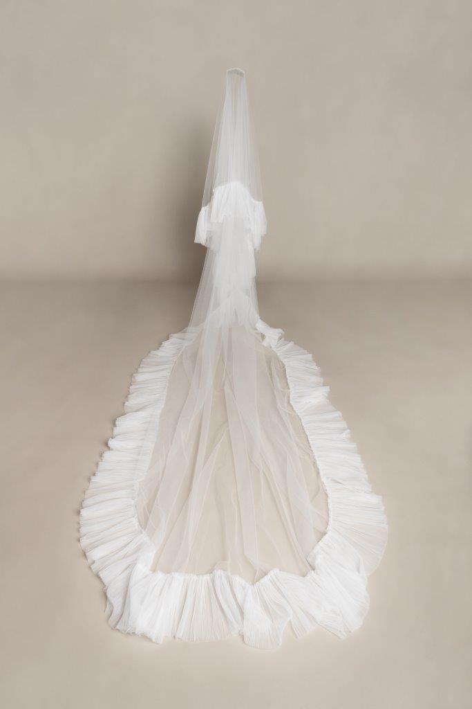 Tulipe Veil