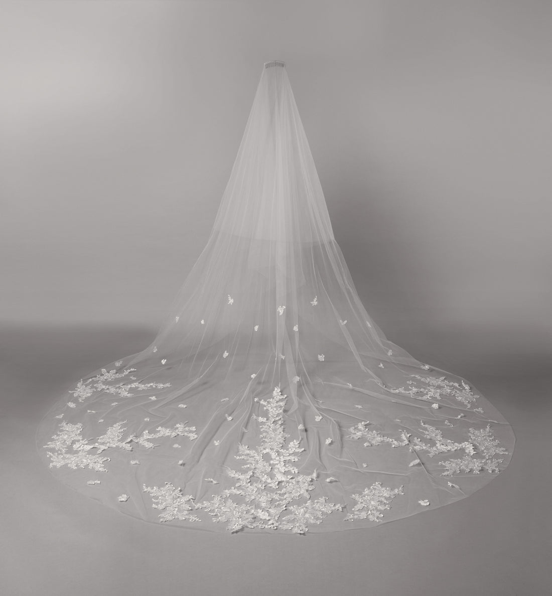 Dakota Veil