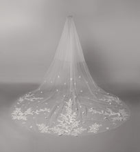 Load image into Gallery viewer, Dakota Veil
