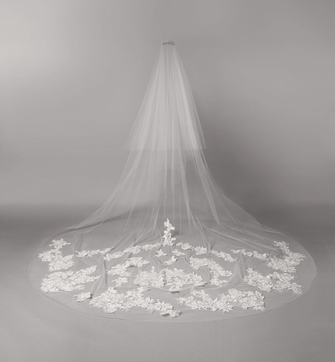 Ellie Veil