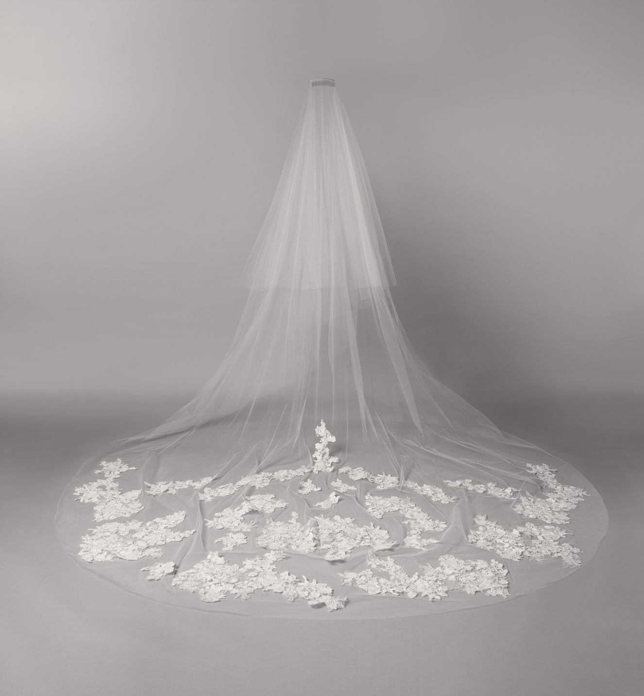 Ellie Veil