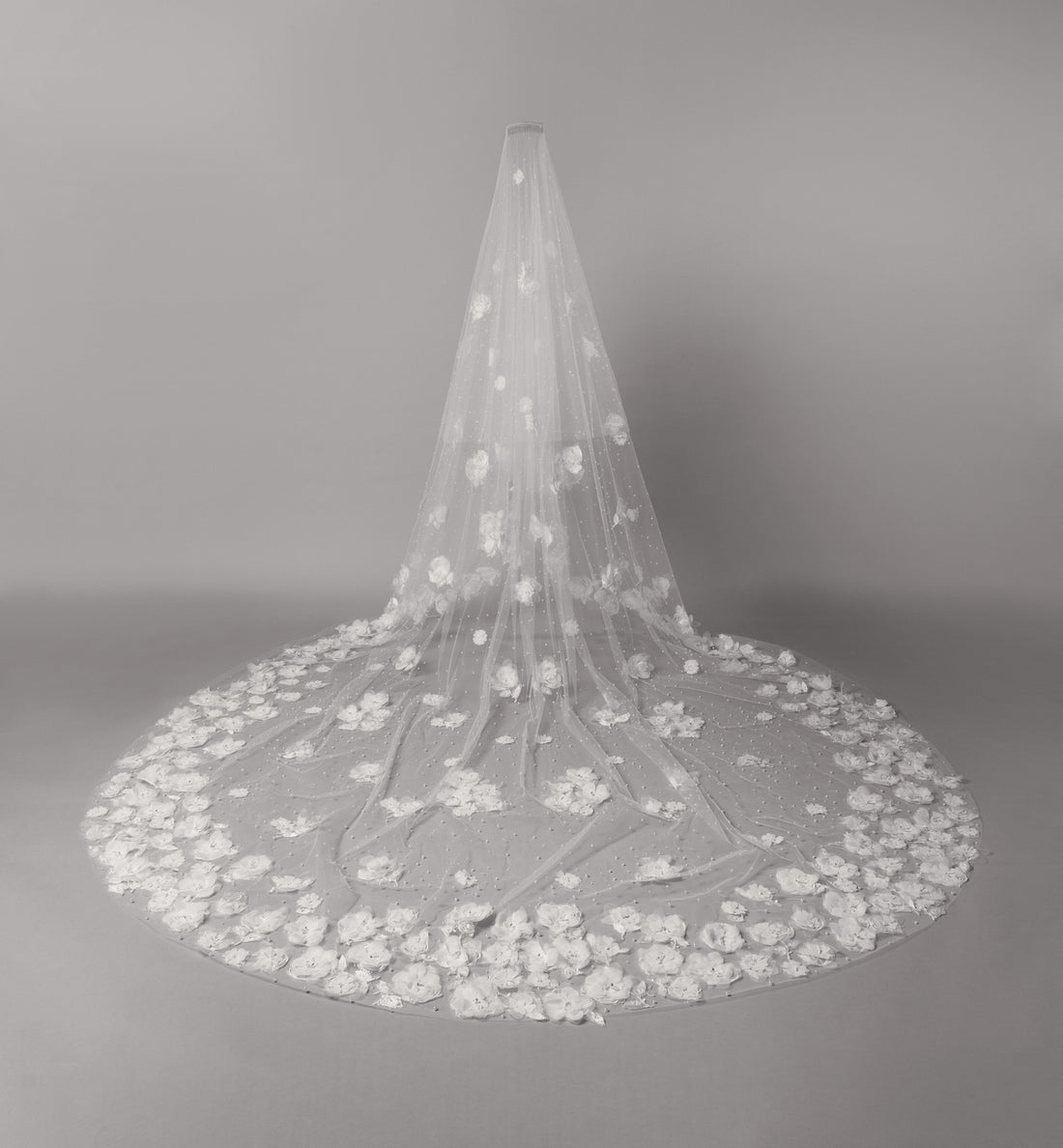 Emily Veil