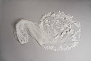 Rani Veil