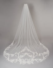 Load image into Gallery viewer, Rani Veil
