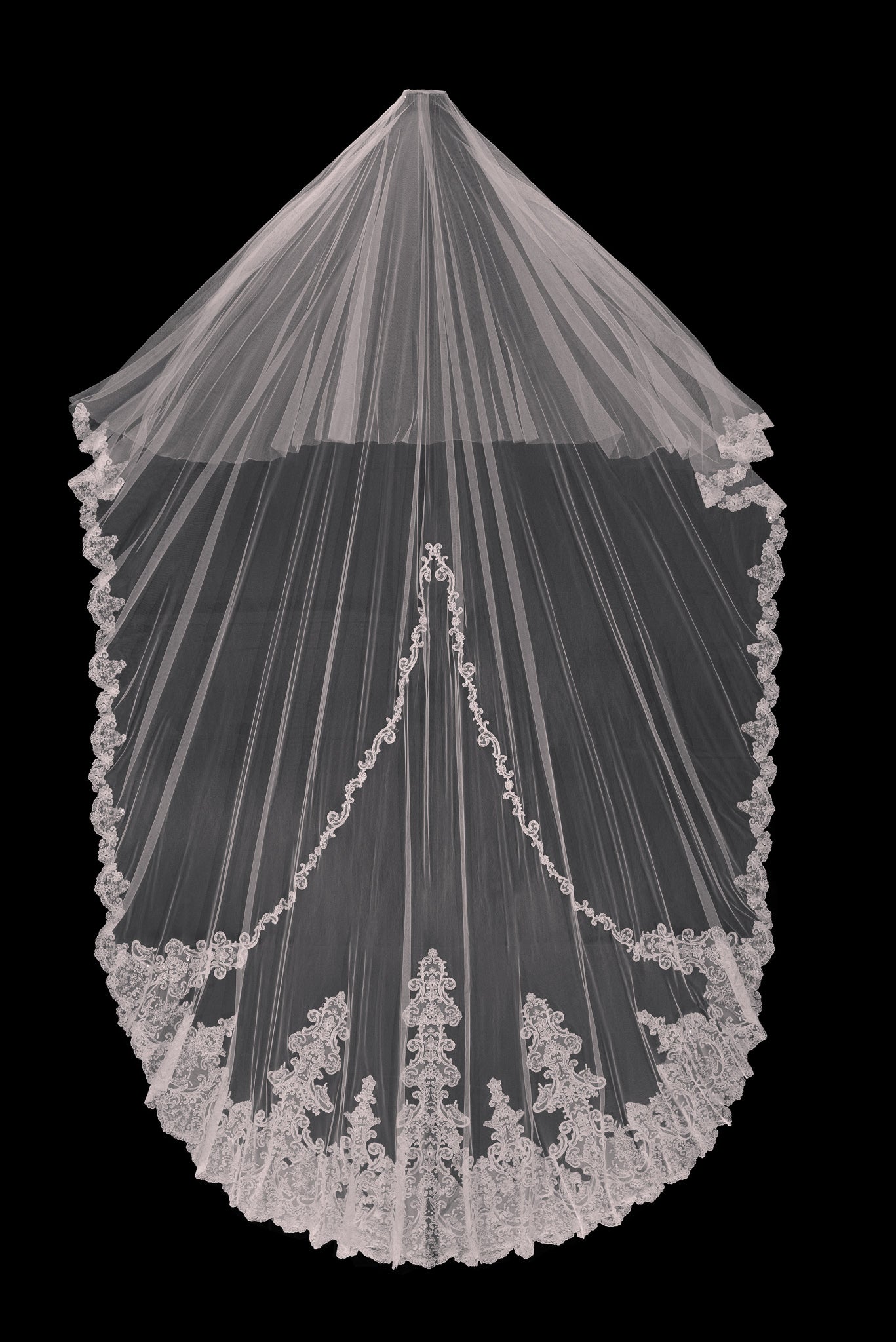 Vibrant Veil