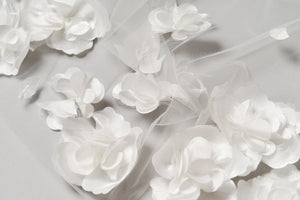 Sophia Veil