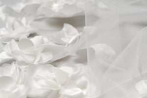 Sophia Veil