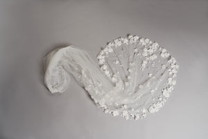 Sophia Veil