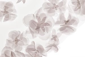 Valerie Veil